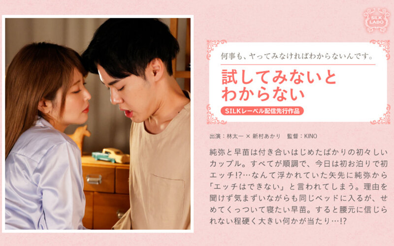 試してみないとわからない 新村晶。}