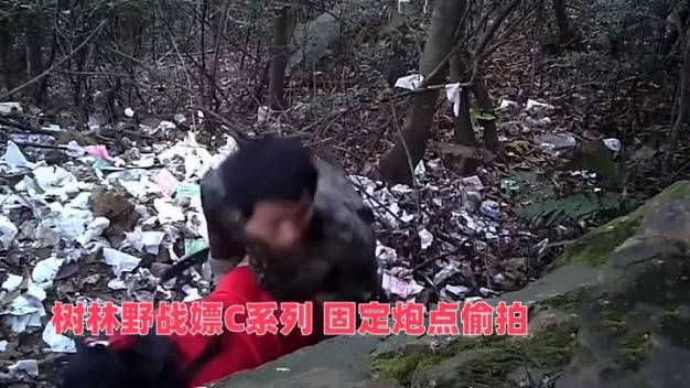 树林野战嫖C系列 固定炮点偷拍.