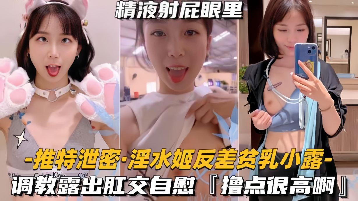 【推特泄密-淫水姬反差贫乳小露】调教露出肛交自慰撸点很高}