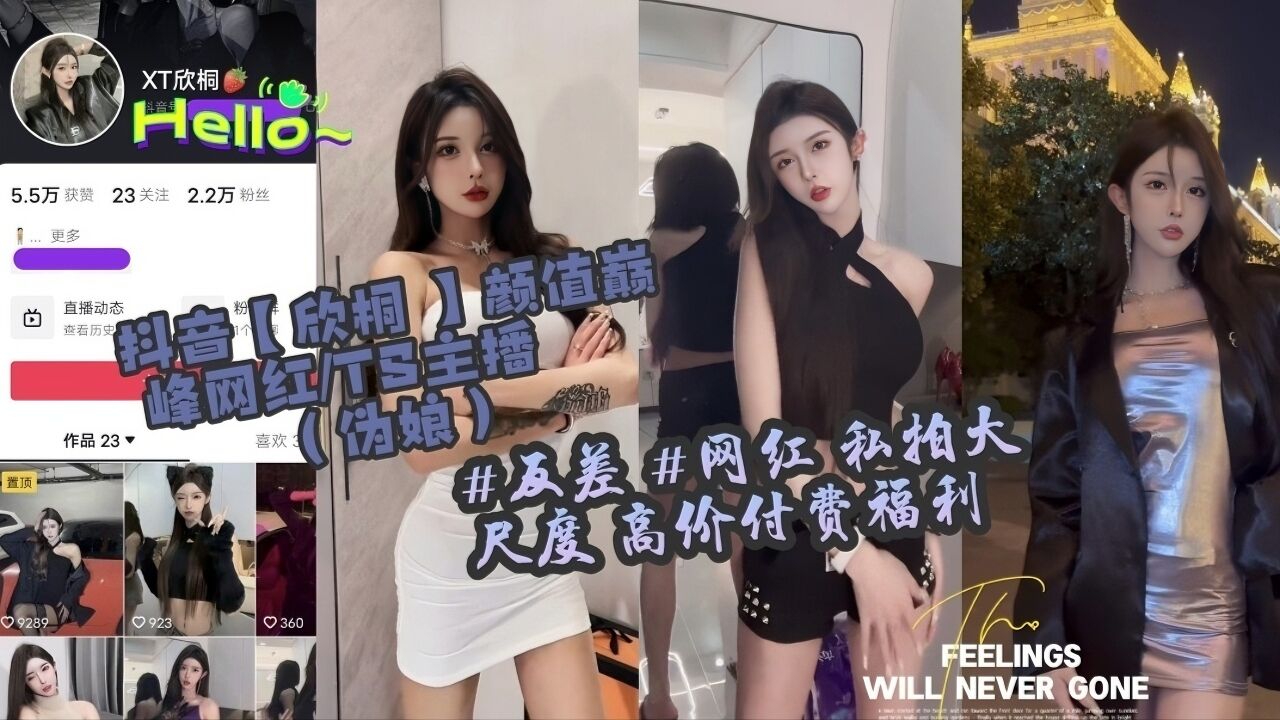 【网红泄密】反差表网红高阶付费福利}